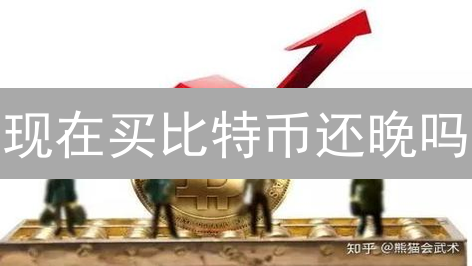 现在买比特币还晚吗？深度剖析入场时机与风险！