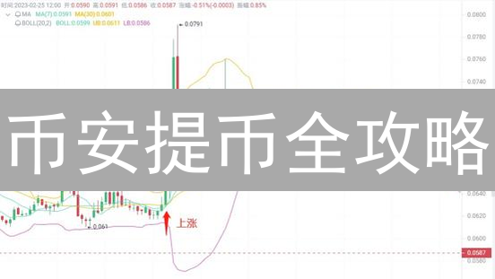 币安提币全攻略：新手必看！安全快速提现指南？