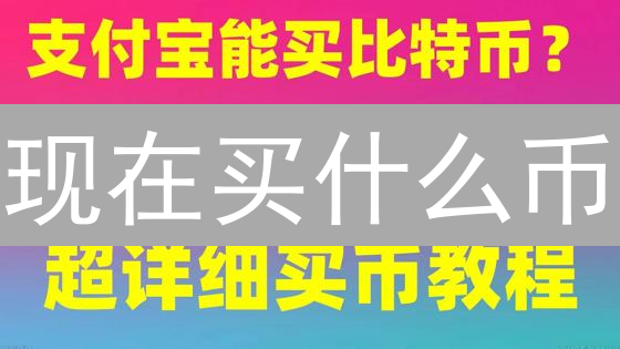 现在买什么币？2024最新加密货币选币指南：如何避坑？