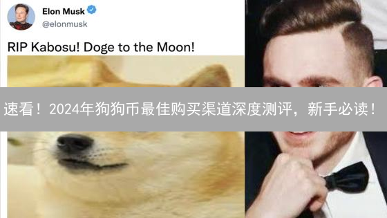 速看！2024年狗狗币最佳购买渠道深度测评，新手必读！