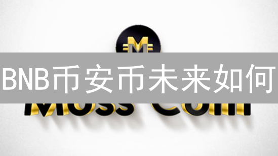 BNB币安币未来如何？Reddit社区最新讨论深度剖析！现在了解还不晚！