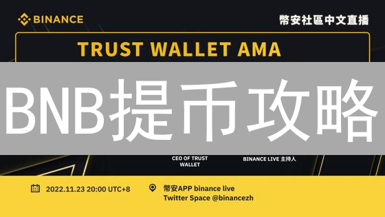 BNB提币攻略：从币安到TrustWallet，新手必看！