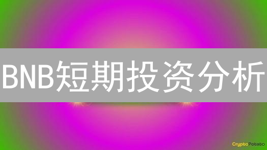 BNB短期投资分析：风险与机遇深度剖析