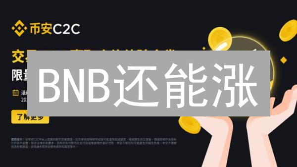 BNB还能涨？深度解析币安币未来投资价值与风险！
