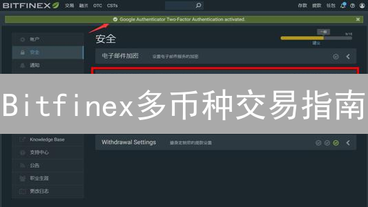Bitfinex多币种交易指南：新手也能轻松上手！