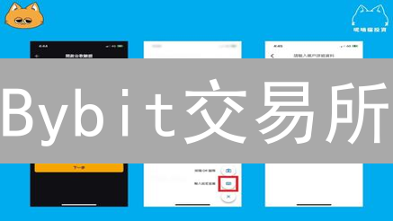 Bybit交易所：新手友好还是风险陷阱？深度测评！