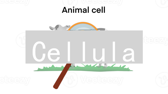 Cellula：颠覆DAO治理？模块化自治，开启未来新范式！