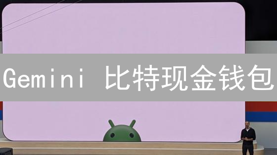 Gemini 比特现金钱包：安全可靠？看完这篇不纠结！