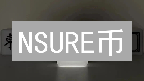 NSURE币：去中心化保险长期投资价值深度评估