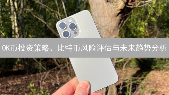 OK币投资策略、比特币风险评估与未来趋势分析