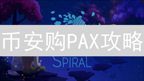 币安购PAX攻略：新手也能轻松上手？风险与收益全解析！