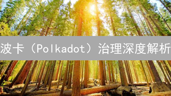 波卡（Polkadot）治理深度解析：高效、透明、去中心化？