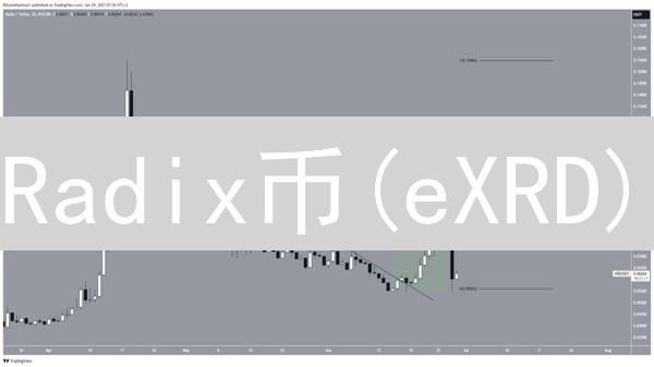 Radix币(eXRD)：革命性技术还是DeFi新泡沫？深度解析！