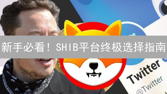 新手必看！SHIB平台终极选择指南：交易所？Shibaswap？
