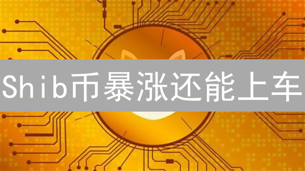 Shib币暴涨还能上车？5个监控技巧掘金！