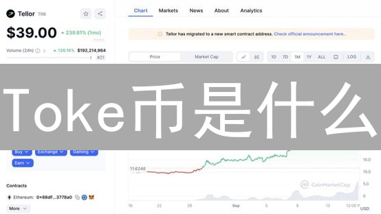 Toke币是什么？2024年投资价值、优势和风险深度解析