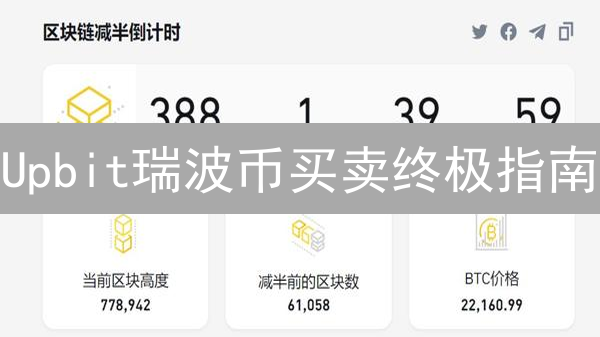 Upbit瑞波币买卖终极指南：何时入场？避坑攻略！