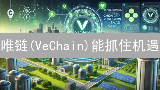 唯链(VeChain)能抓住机遇？2024年投资潜力深度剖析！