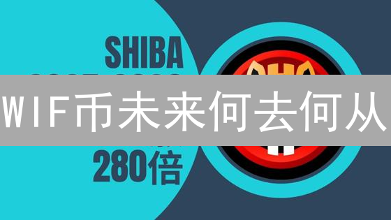 WIF币未来何去何从？戴帽狗狗的Solana迷局，是机遇还是陷阱？