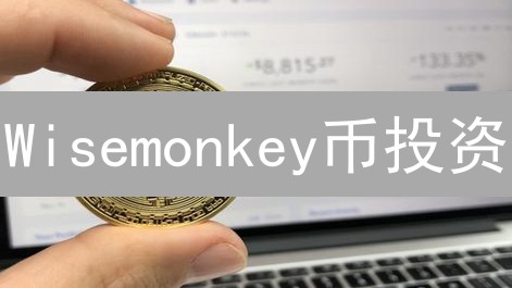 Wisemonkey币投资：机遇与挑战并存？新手必看指南！